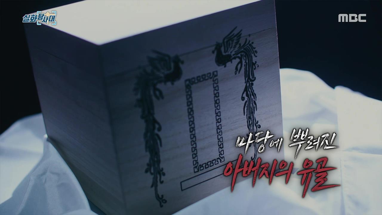 플레이어