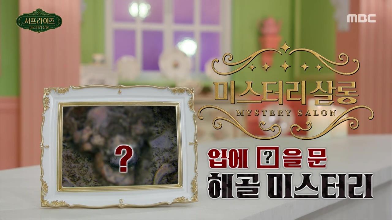 플레이어