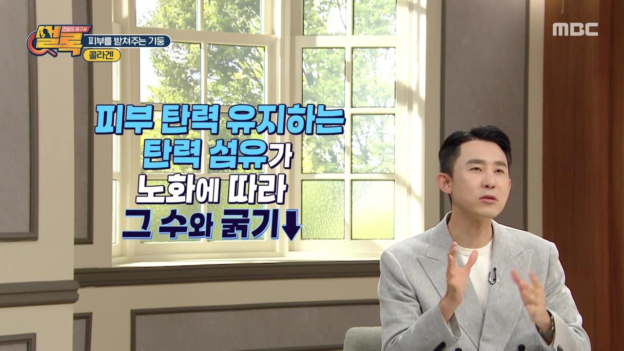 플레이어