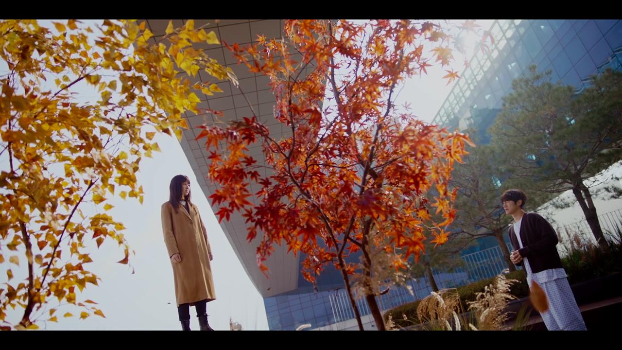 플레이어