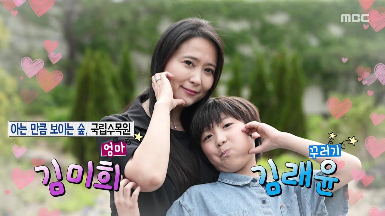 플레이어
