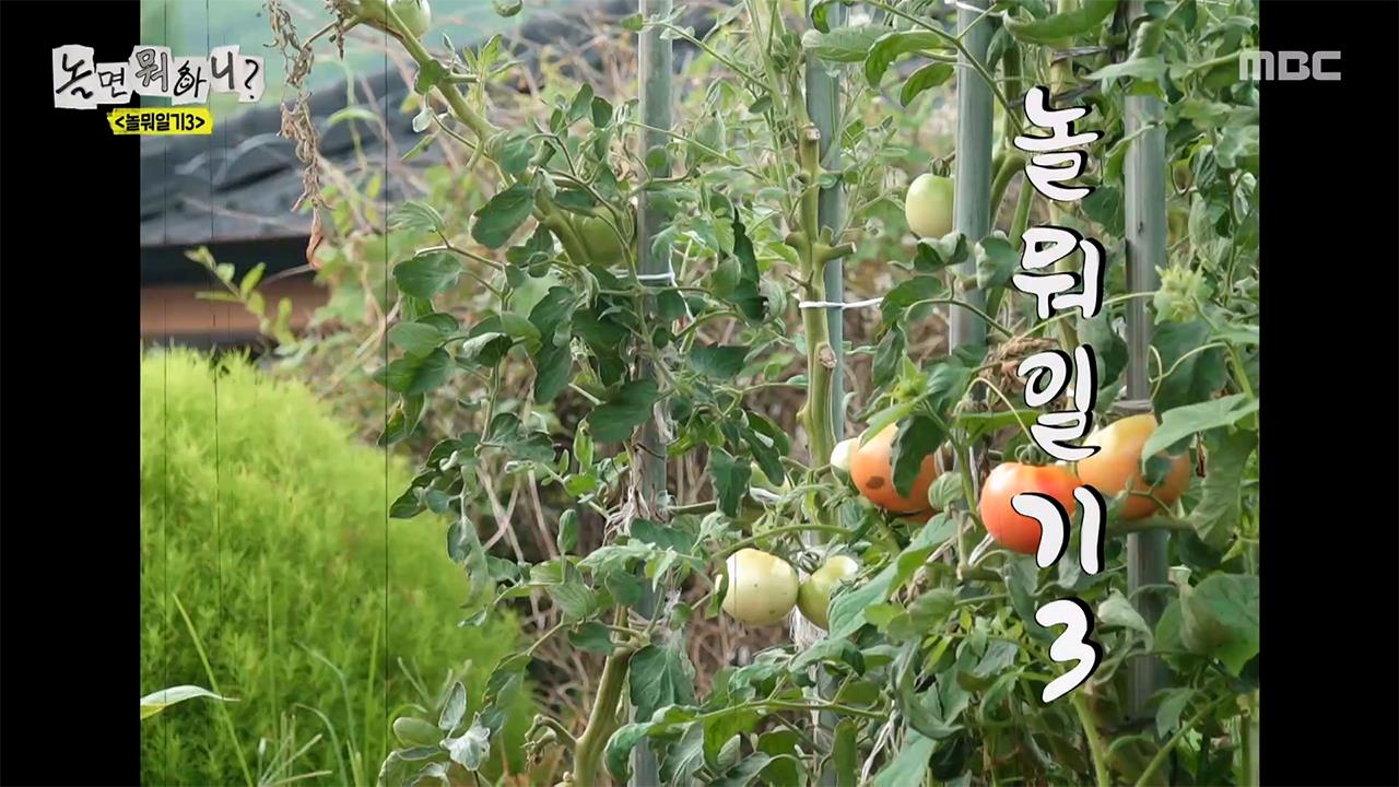 플레이어