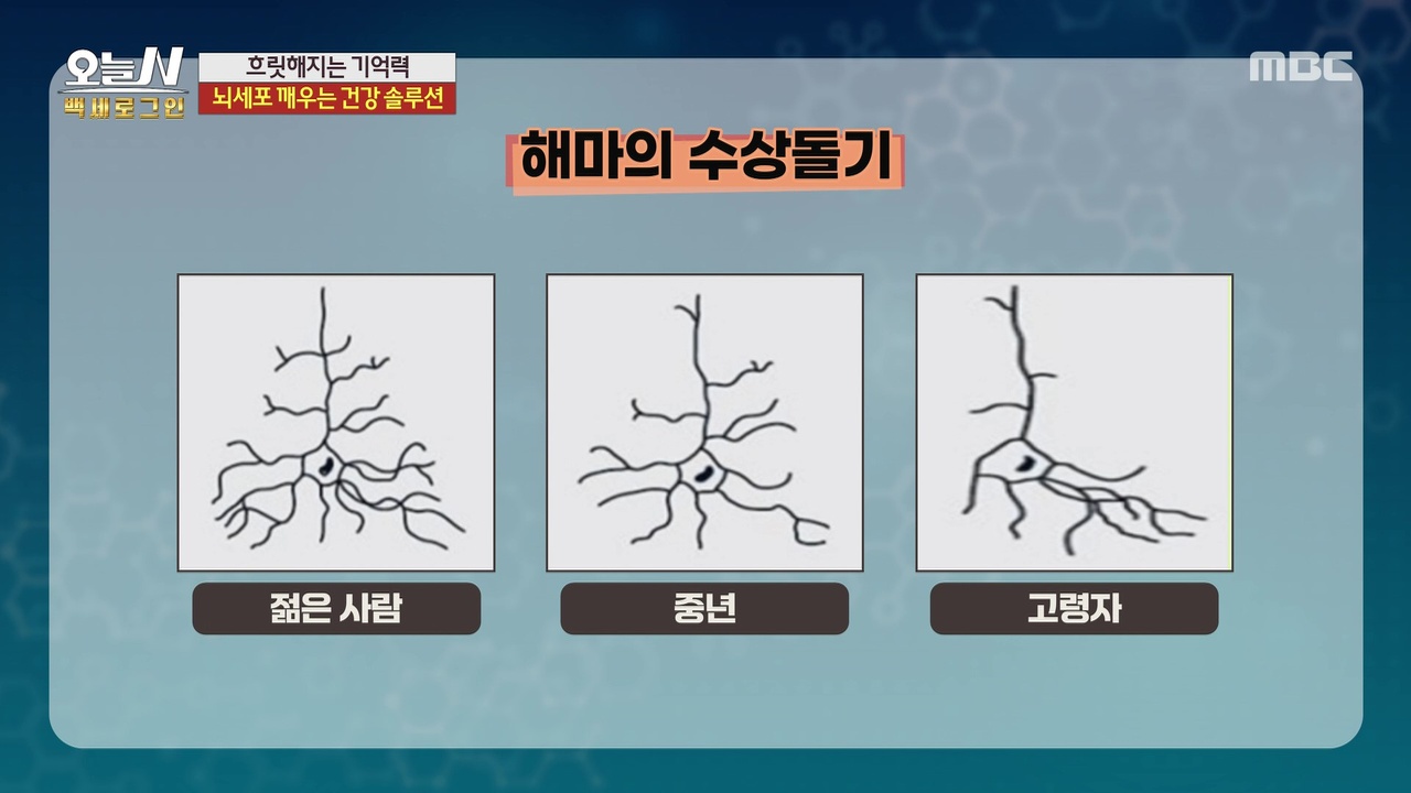 백세 로그인