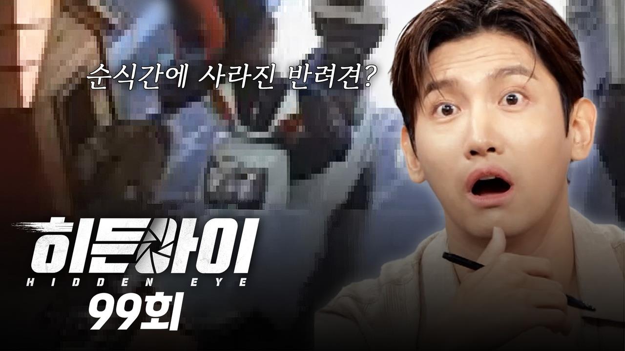 플레이어