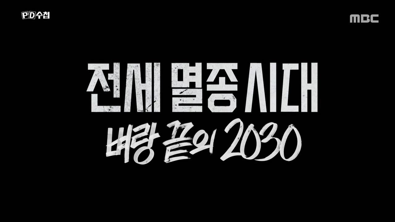 플레이어