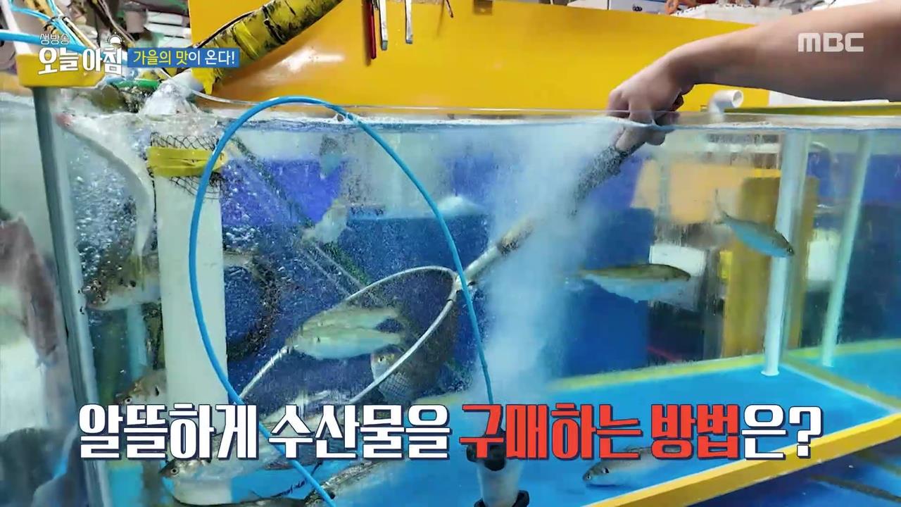 플레이어