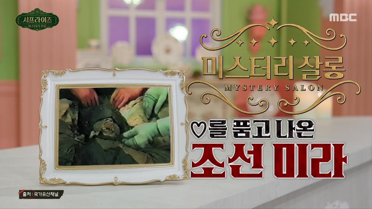 플레이어