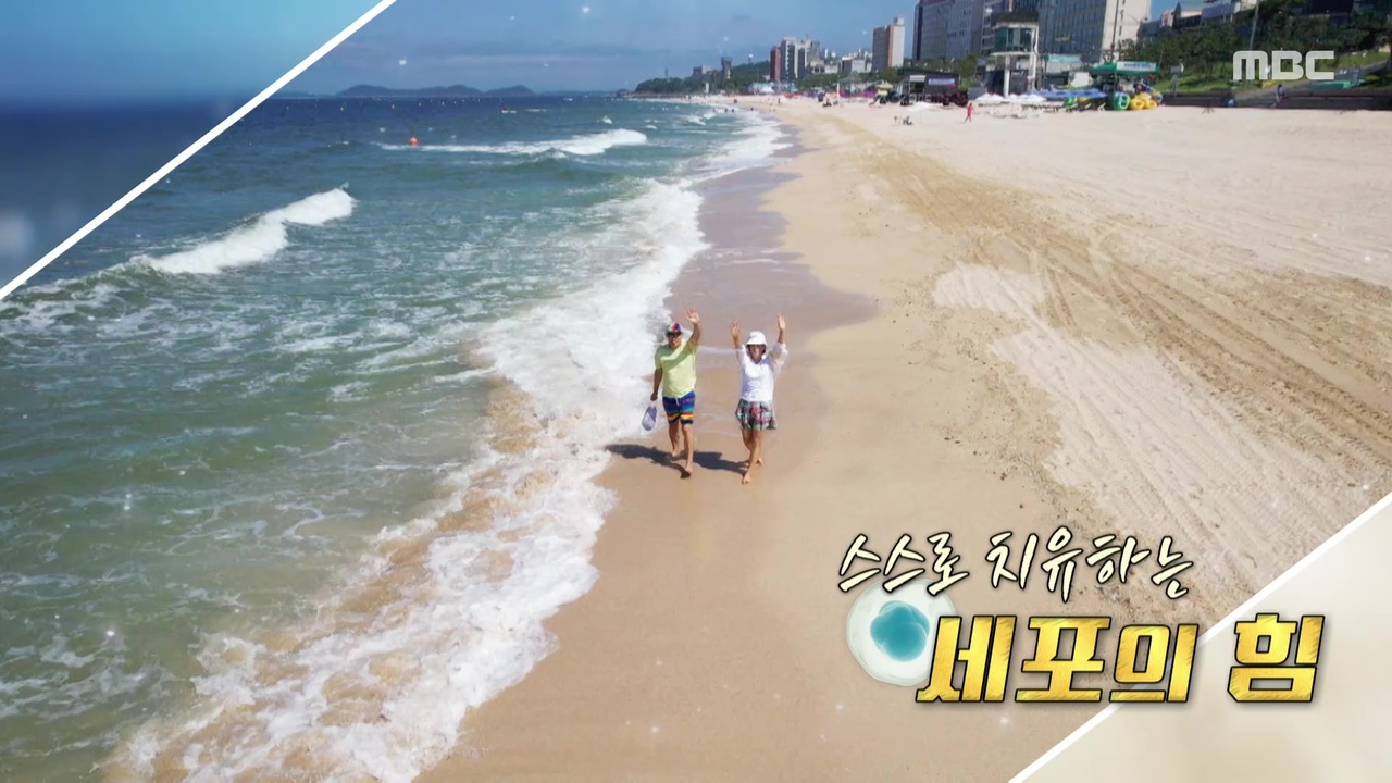 스스로 치유하는 세포의 힘
