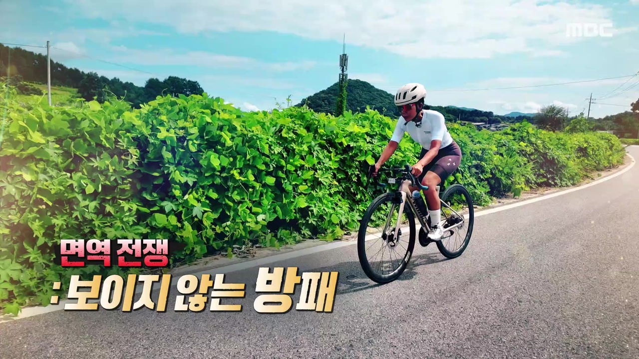 면역 전쟁 – 보이지 않는 방패