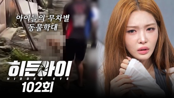 도로에서 자다 택시에 발 깔인 여성 /잔혹한 동물 학대에 청하 분노 / 친구 집에서 살해당한 여성 