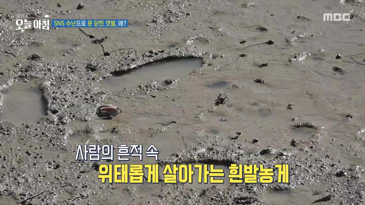 플레이어