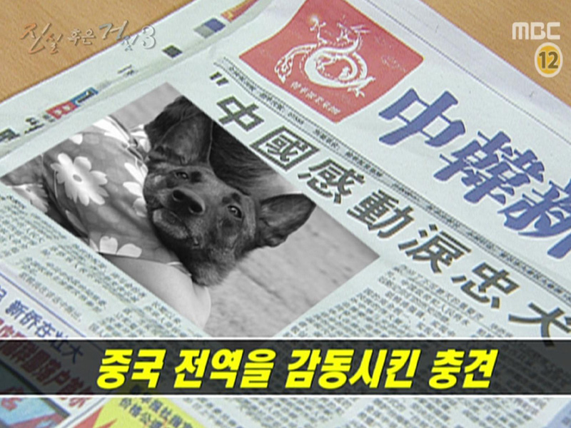 진실 혹은 거짓 - 이야기 #3 클립 이미지