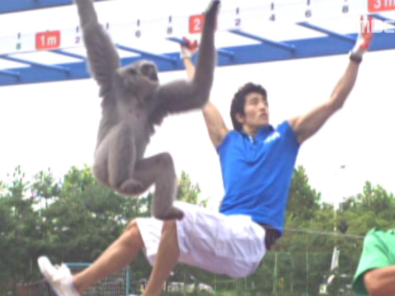 구름사다리 건너기