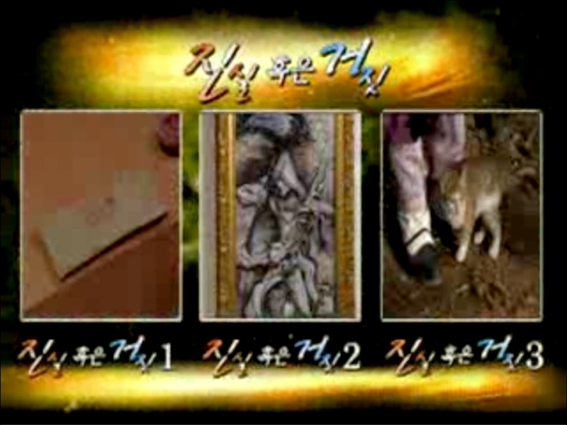 진실 혹은 거짓 정답 클립 이미지