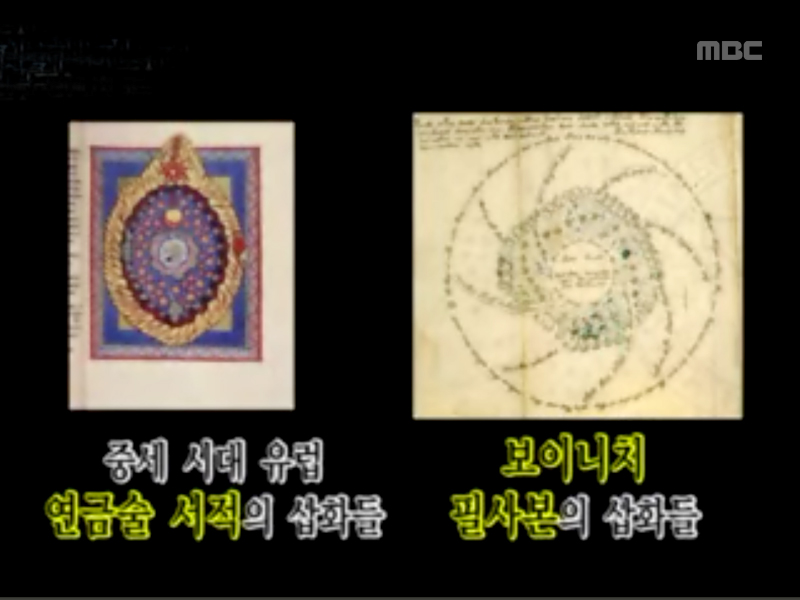 Extreme Surprise 1 - 보이니치 코드 클립 이미지