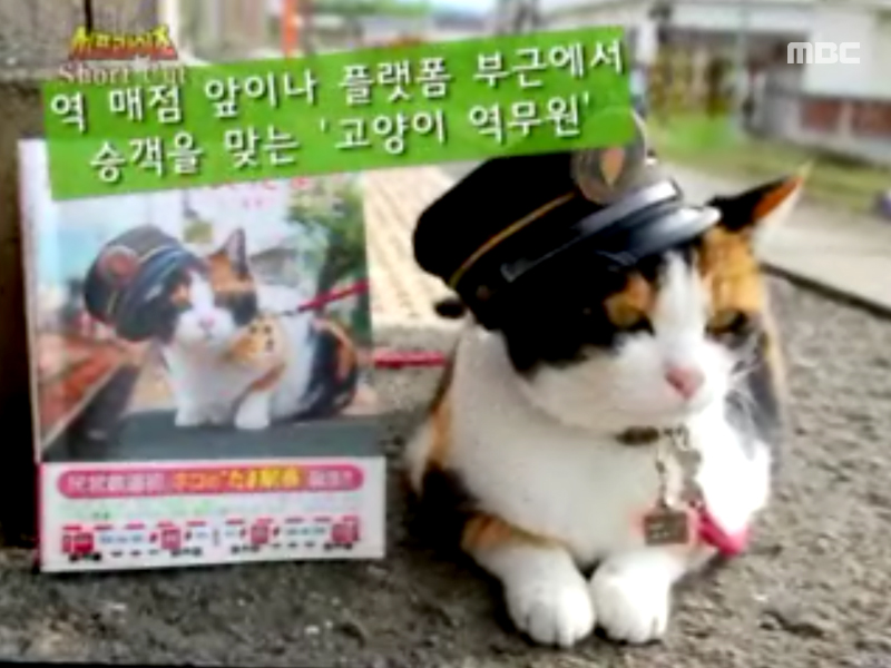 Short Cut 클립 이미지