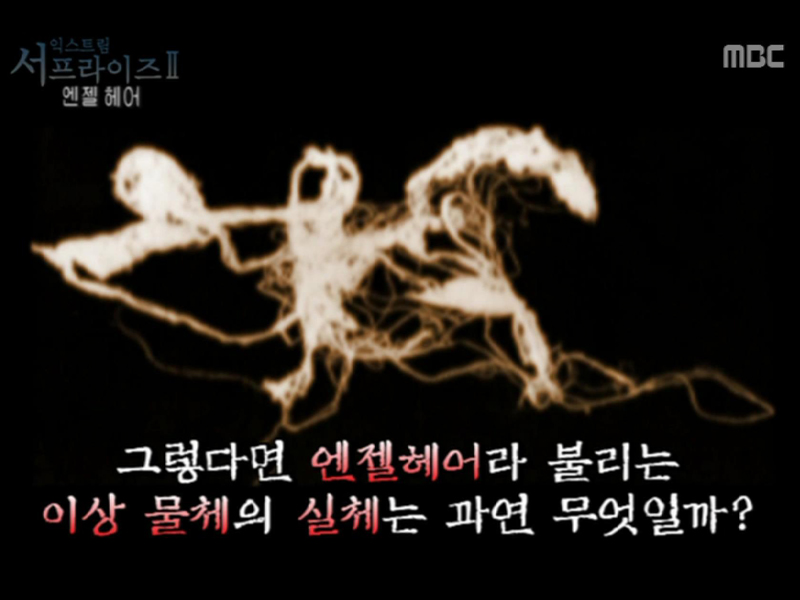 Extreme Surprise 2 클립 이미지