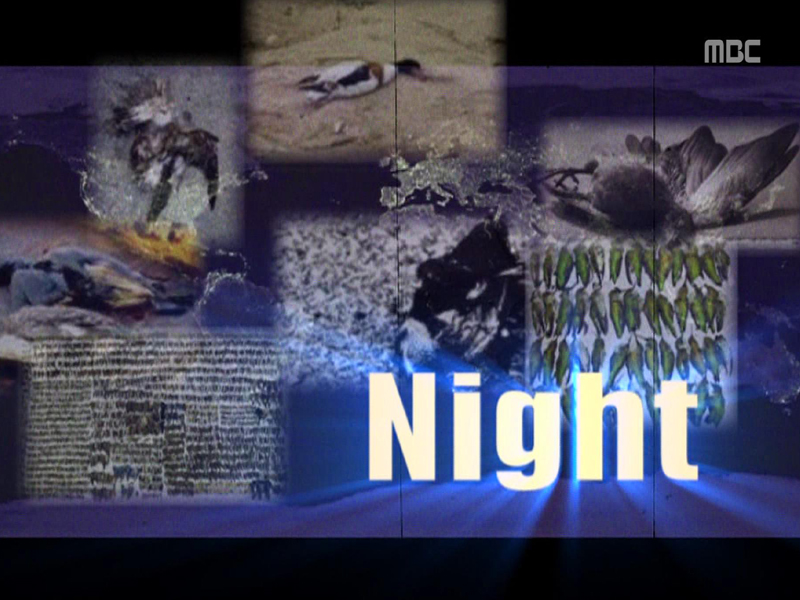 Extreme Surprise 1. Night 클립 이미지