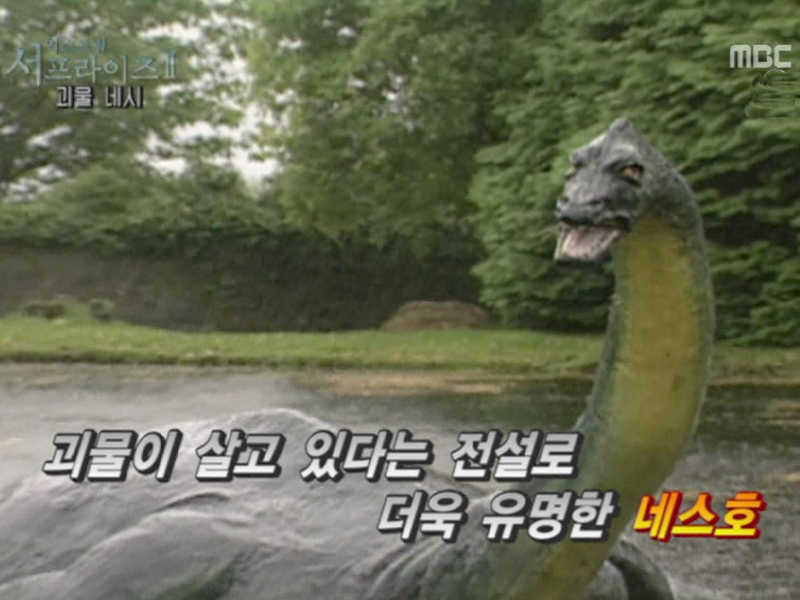 Extreme Surprise Ⅱ 클립 이미지