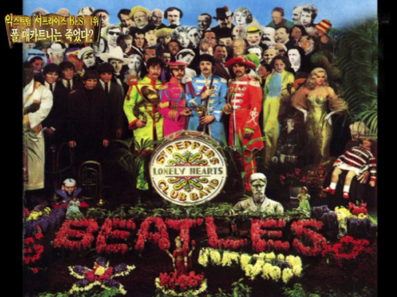 시청자가 뽑은 익스트림 서프라이즈 Best of Best 클립 이미지