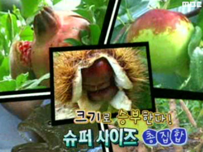 '슈퍼사이즈' 총집합 클립 이미지