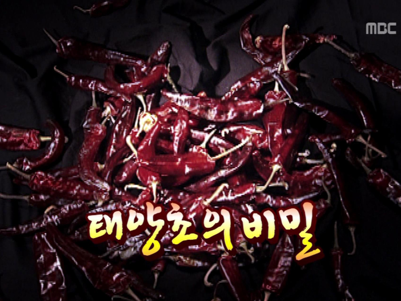 ■소비자가 기가 막혀- 태양초 고추의 진실 클립 이미지