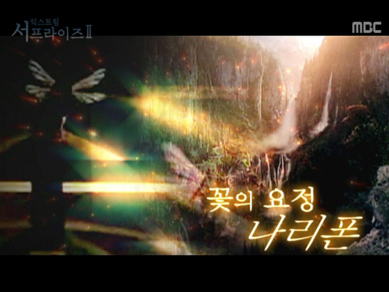 Extreme SurpriseⅡ. 꽃의 요정 나리폰 클립 이미지