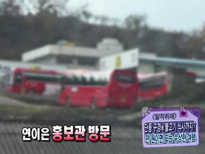 [현장취재] 단풍구경에 세끼 식사 제공? 만 원짜리 관광여행, 진실은? 클립 이미지