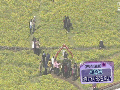 [기획취재] 제주도, 세계 7대 자연경관 선정 기대?! 클립 이미지