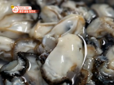 청정해역, 통영 굴로 만든 맛있는 식탁! 클립 이미지