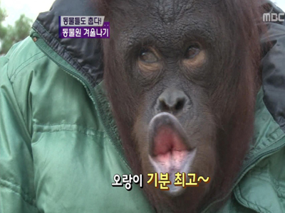 춥기 전에 미리미리, 겨울나기 대작전! 클립 이미지