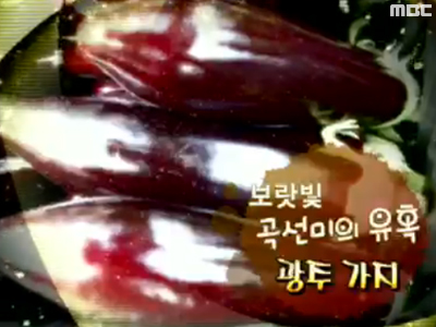 보랏빛 곡선미의 유혹, 광주 가지 클립 이미지