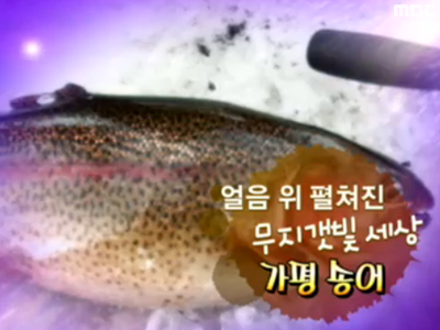 얼음 위 펼쳐진 무지갯빛 세상, 가평 송어 클립 이미지