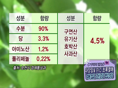 대장암을 이긴 초록열매, 매실 건강 밥상 클립 이미지