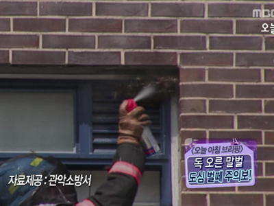 [오늘아침 브리핑①]  클립 이미지