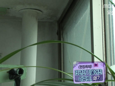 [현장취재]   클립 이미지