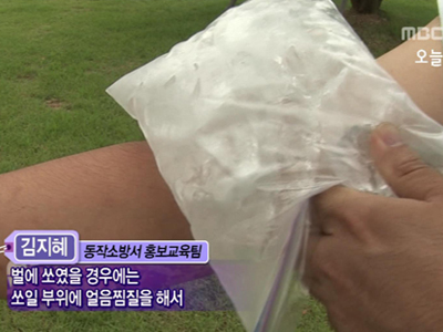벌에 쏘였을 경우 대처방법 클립 이미지