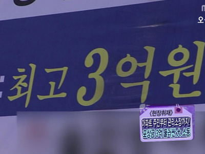 [현장취재] ‘봉대산 불다람쥐’ 포상금 3억! 수령자는 누구?  클립 이미지