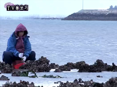 TV 돋보기 - <고향을 부탁해>