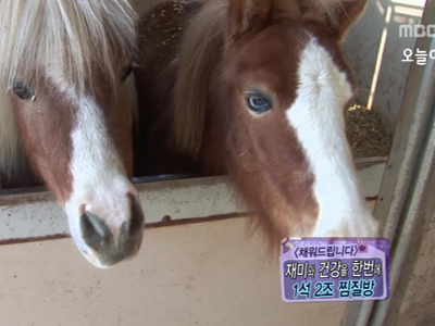 [채워드립니다]  재미와 건강을 한 번에! 1석2조 찜질방 클립 이미지
