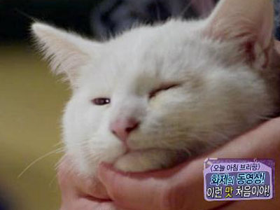 [오늘아침 브리핑]