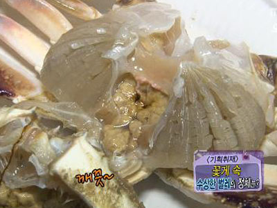 [기획취재] 꽃게 속 수상한 벌레의 정체는? 클립 이미지