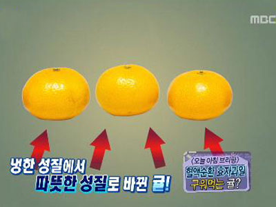 [오늘아침 브리핑] 클립 이미지
