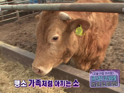 [오늘아침 브리핑] 클립 이미지