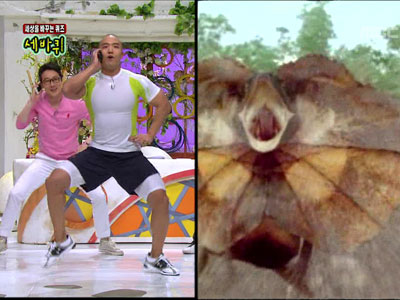 숀리의 휴대폰 운동 "목도리 도마뱀?" 클립 이미지