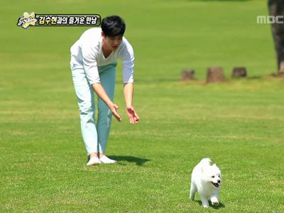김수현, 외면하는 강아지에 굴욕 "이럴 수가" 클립 이미지
