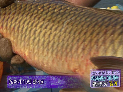 [천기누설 장수밥상] 자궁암을 이기는 황금밥상 ‘잉어’ 클립 이미지