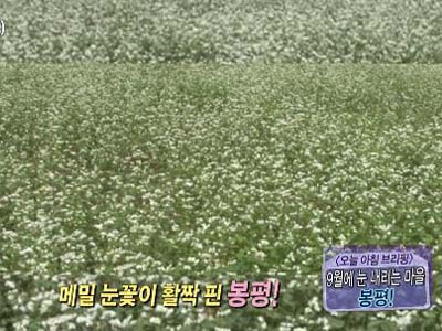 [오늘아침브리핑] 