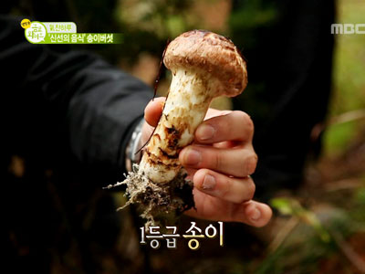 氣찬하루 - '신선의 음식' 송이버섯