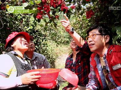 氣찬하루 - 인제군 오미자